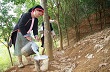 Những giọt “vàng trắng” đầu tiên ở Tây Bắc